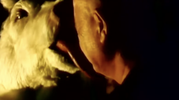 Gozu
